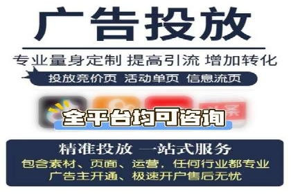 行业案例研究：SEM竞价托管的策略与挑战